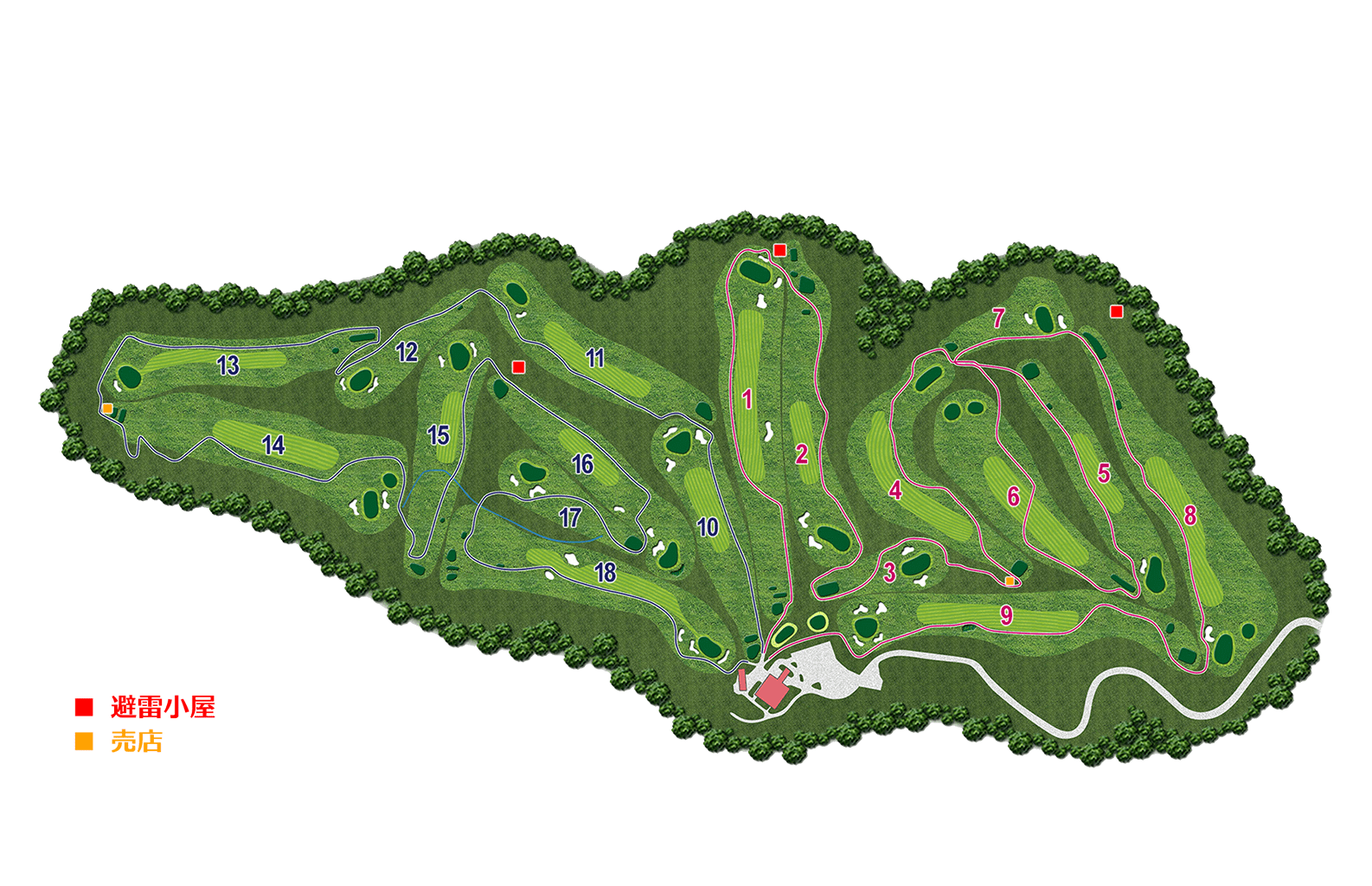 コースレイアウト